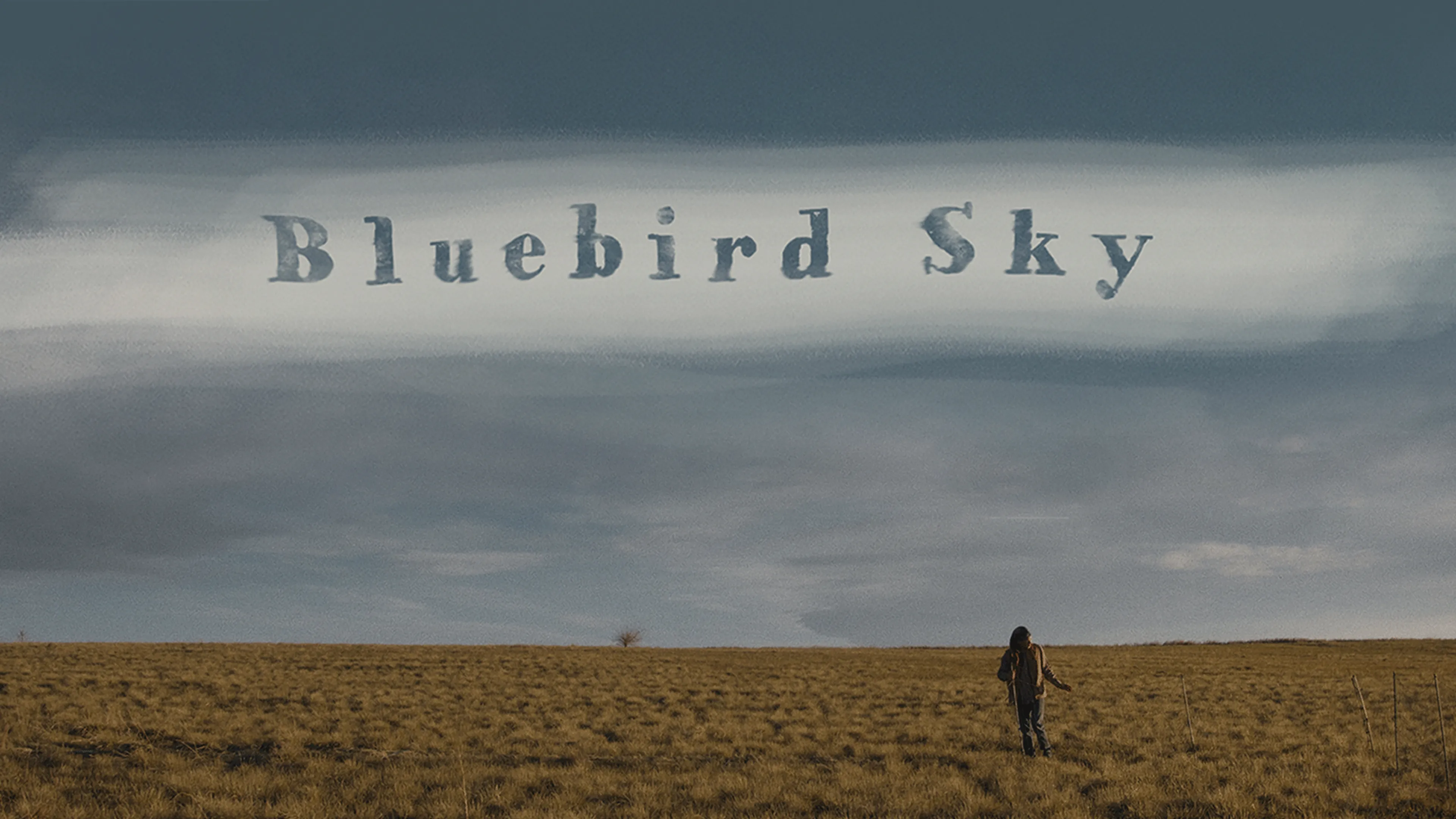 Bluebird Sky poster